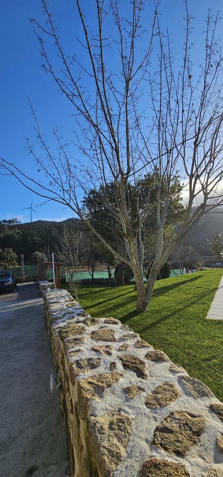 Casa Lima - Al Villa Valenca Buitenkant foto